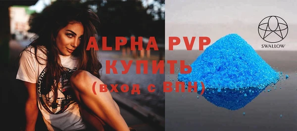 стаф Карпинск