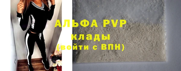 стаф Карпинск