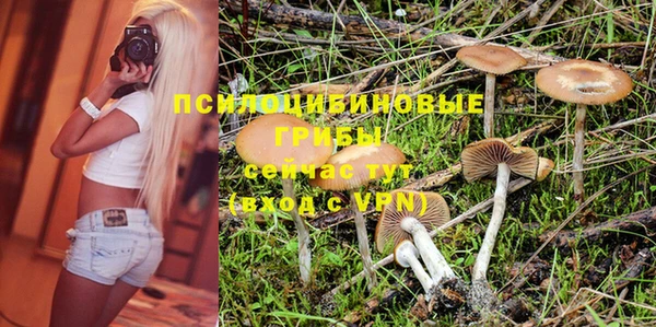 ПСИЛОЦИБИНОВЫЕ ГРИБЫ Карталы