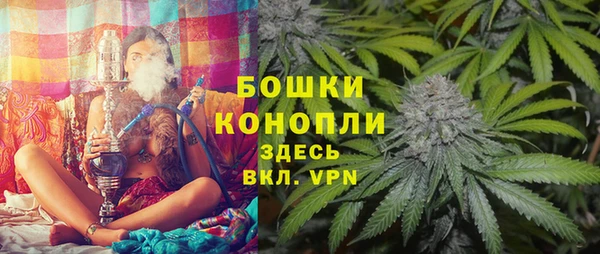 стаф Карпинск