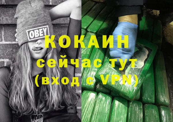 стаф Карпинск