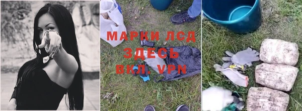 ПСИЛОЦИБИНОВЫЕ ГРИБЫ Карталы