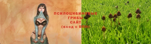 дистиллят марихуана Касимов