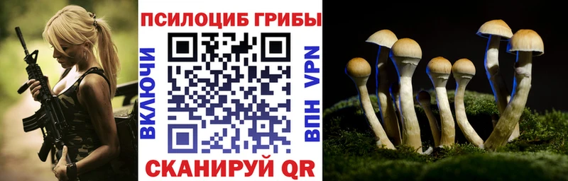 Галлюциногенные грибы ЛСД  Купить  Бор 